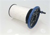<b>FIAT:</b> 77366216<br/>