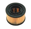 <b>:</b> G103K<br/>